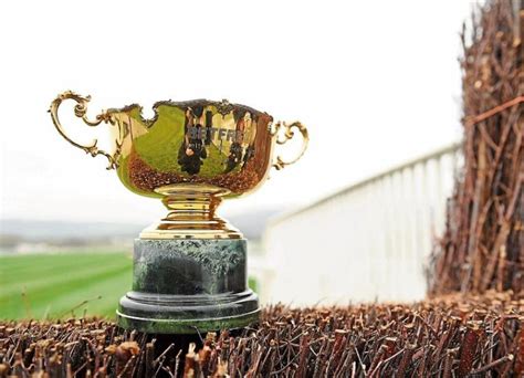 cheltenham gold cup 2024 results
